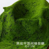 uploads/erp/collection/images/Home Garden/dgjiawang/XU0612893/img_b/XU0612893_img_b_4